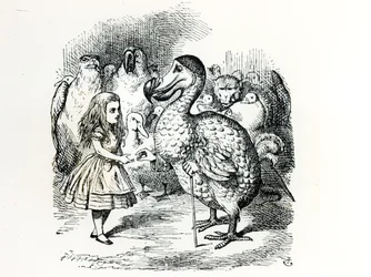 Alice trifft den Dodo, Illustration aus 